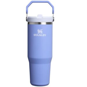 Termo Stanley IceFlow Flip Straw Tumbler 2.0  30 Onzas color Hortensia